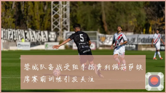 蓉城队备战受阻李扬费利佩茹萨缺席赛前训练引发关注